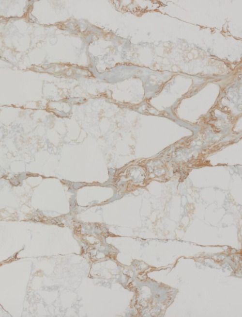 Oro Lusso | PV1011 Product