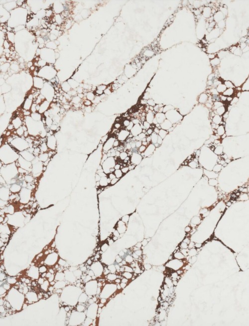 Viola Rosse | PV1012 Product