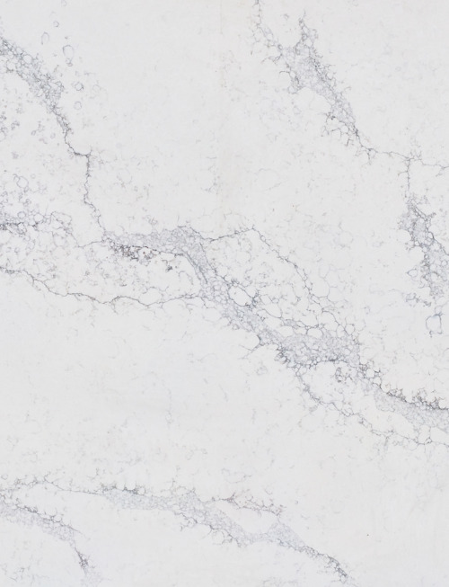 Calacatta Plato | PV111 Product