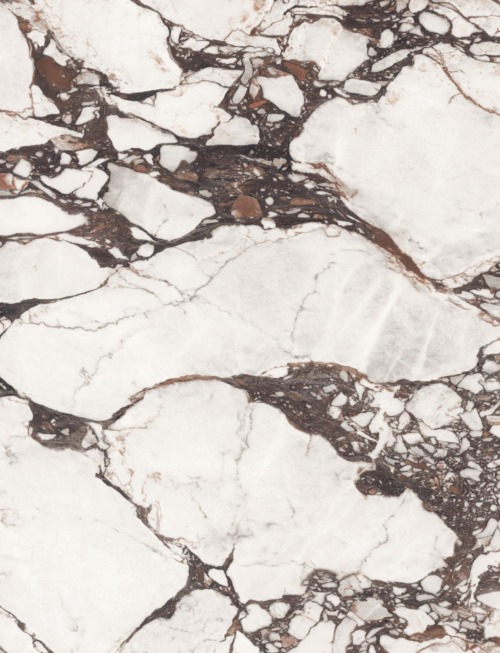 Calacatta Viola | PV2079 Product