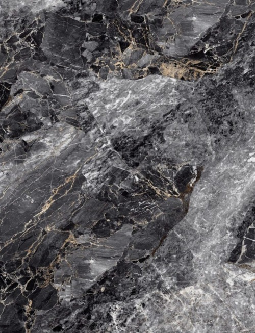 Arabescato Grigio | PV2050 Product