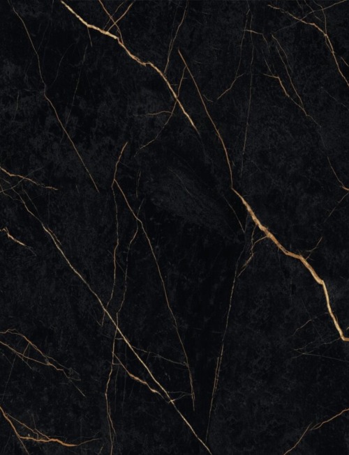 New Noir | PV2041 Product