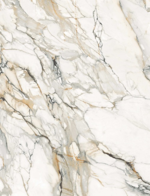 Calacatta Supreme | PV2039 Product