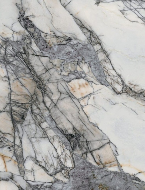 New York | PV2061 Product