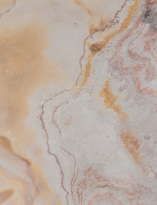 Rosa | PV0817 Product